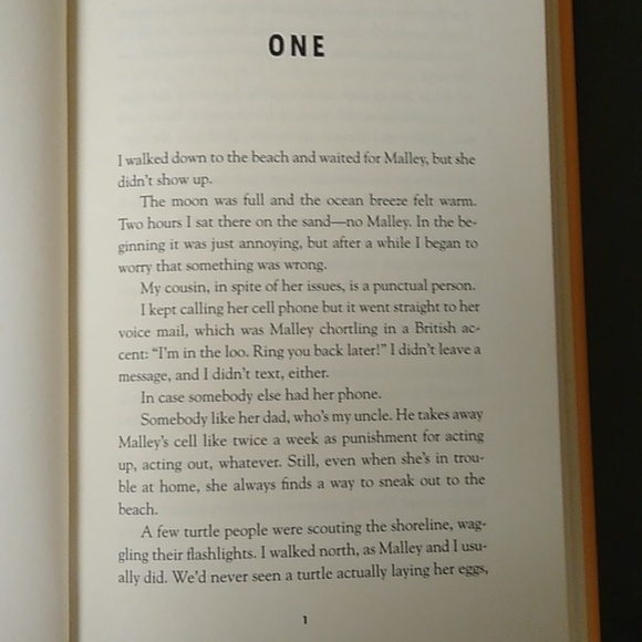 Carl Hiaasen Skink No Surrender Flush Chomp Junior Fiction Young Adult Chapter - Picture 16 of 16